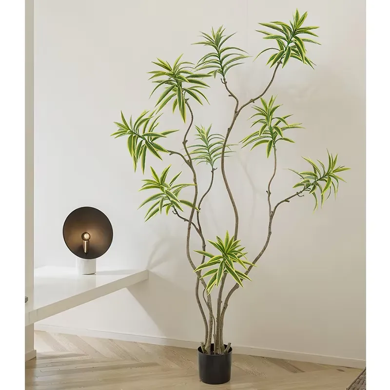 High-Simulation Lily Bamboo Go - Dracaena Marginata 评论和价格